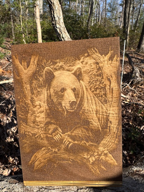Black Bear Curved Frame
