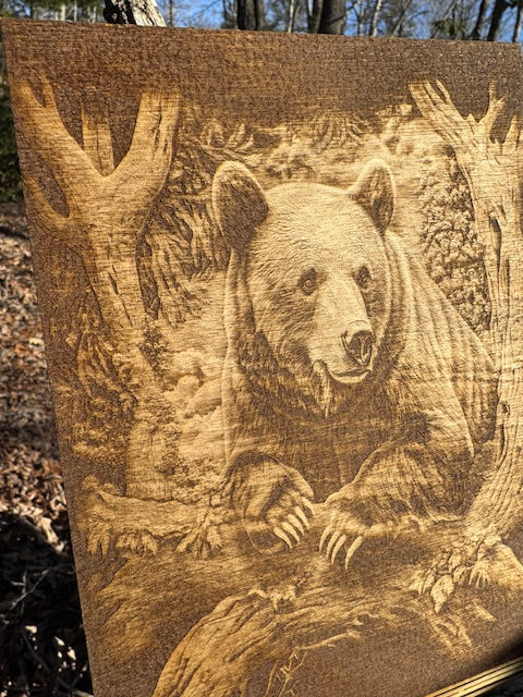 Black Bear Curved Frame