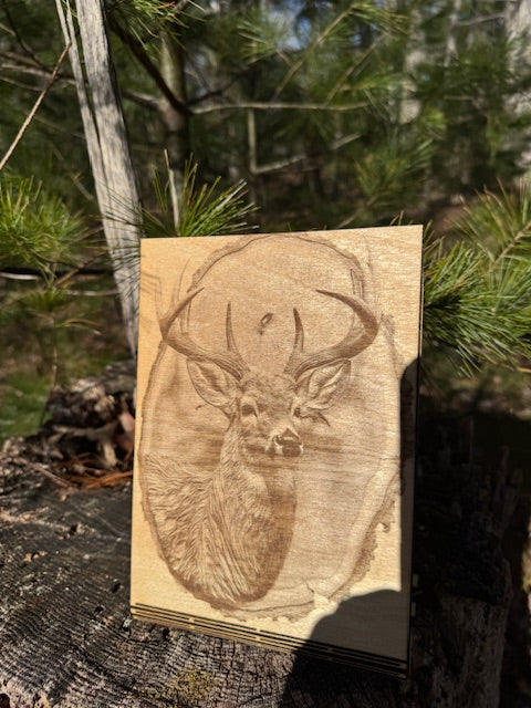 Whitetail Buck Curved Stand