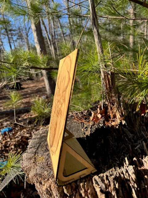 Whitetail Buck Curved Stand