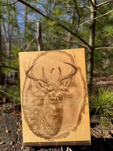 Whitetail Buck Curved Stand