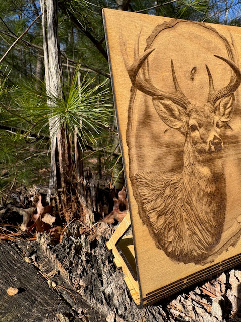 Whitetail Buck Curved Stand