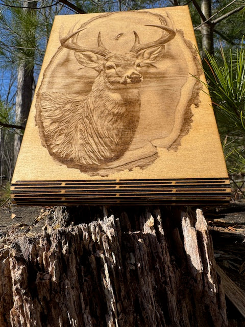 Whitetail Buck Curved Stand