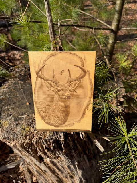 Whitetail Buck Curved Stand